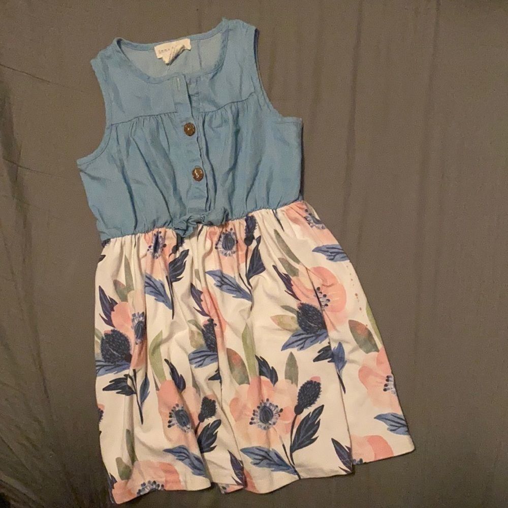 Emma and Elsa Size 4 little girl dress